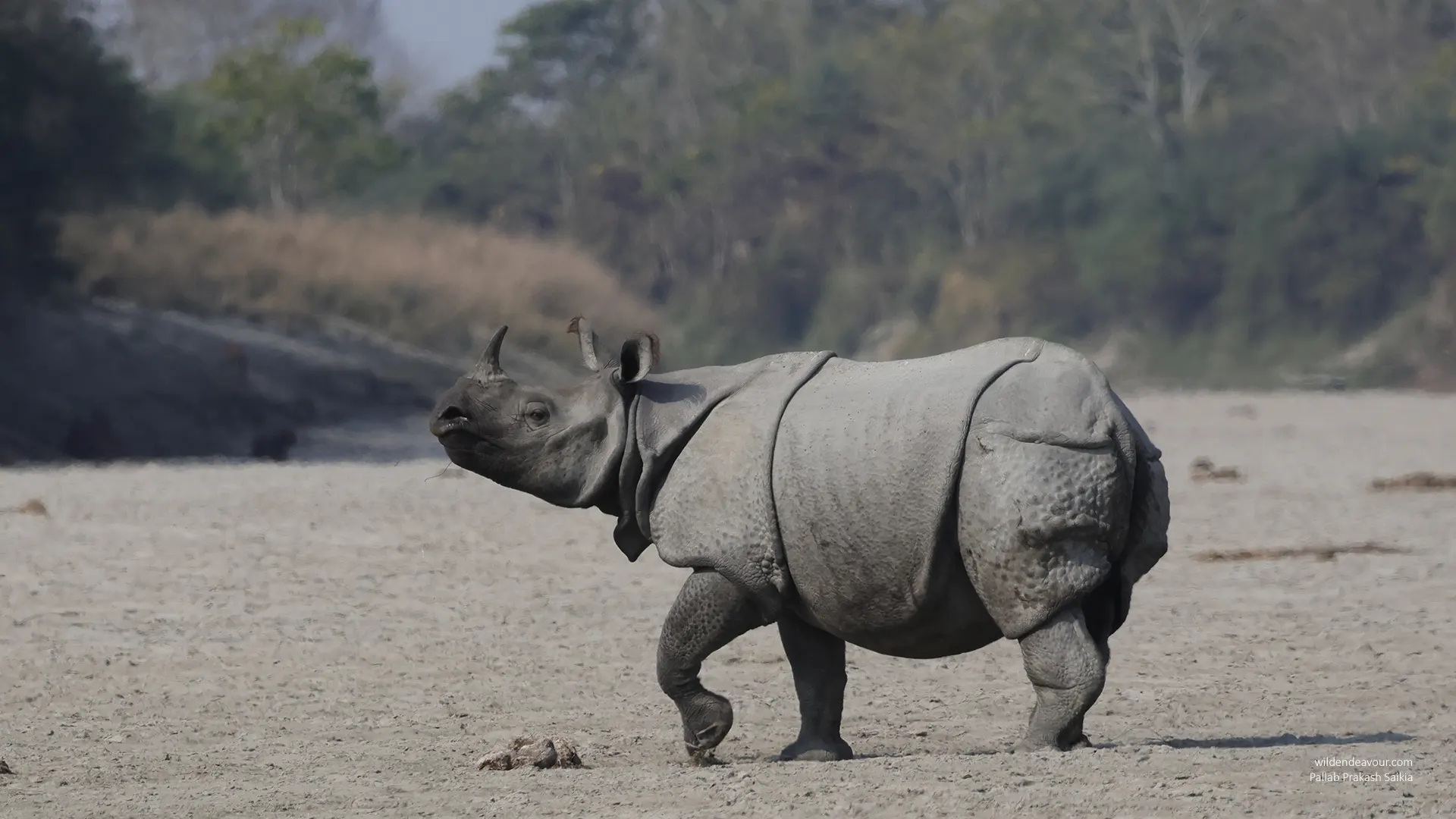 Kaziranga Nameri Manas